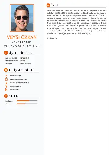 Mekatronik Mühendisliği Cv Örnekleri cv indir